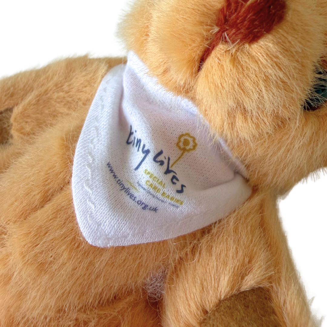 Tiny Lives Teddy Bear