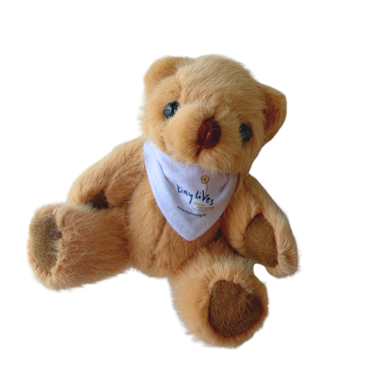 Tiny Lives Teddy Bear