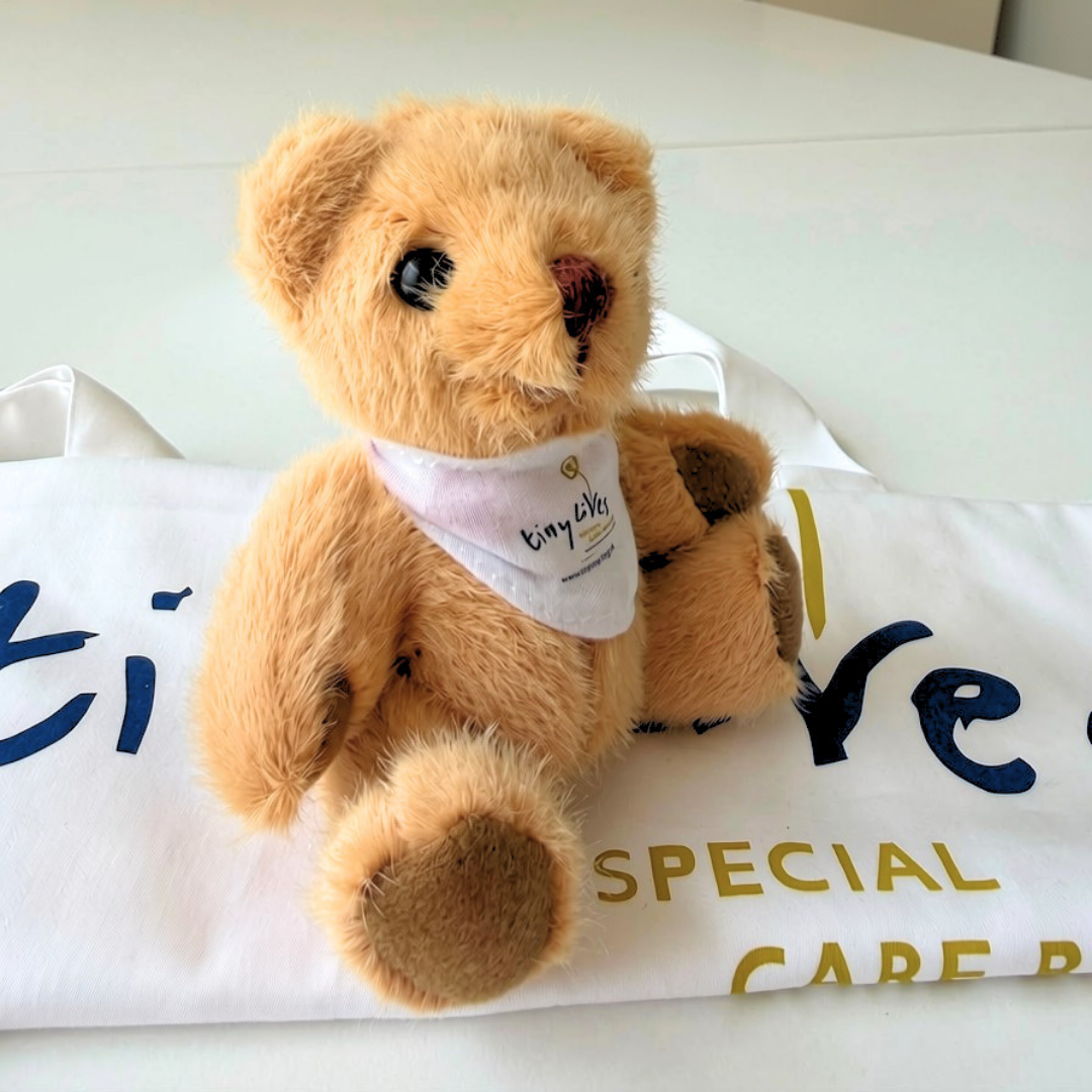 Tiny Lives Teddy Bear